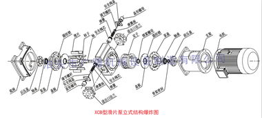 柴油泵 抽油泵 加油泵電動抽油泵xcb自吸式防爆滑片泵 立式滑片泵 液化氣泵 煤油泵 輕油泵 柴油泵 防爆泵 立式高效節(jié)能 煤油泵 輕油泵柴油泵 防爆泵